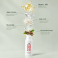 Bright & White Serum (Vitamin C)